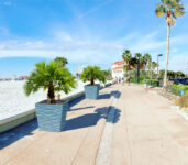 New Product Offerings > GFRC PLANTERS